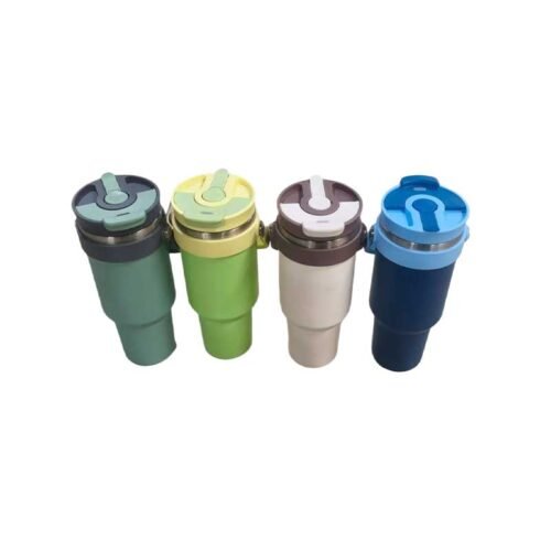 NS13715BL2 Stainless Steel Thermos Bottle with Straw (Random Colour)