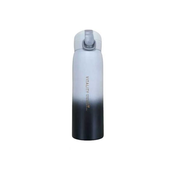 Gradient Thermos Bottle (Random Colour)